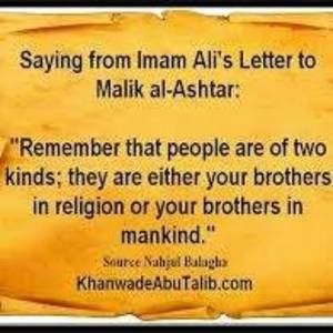 Meet your Posher, Safa